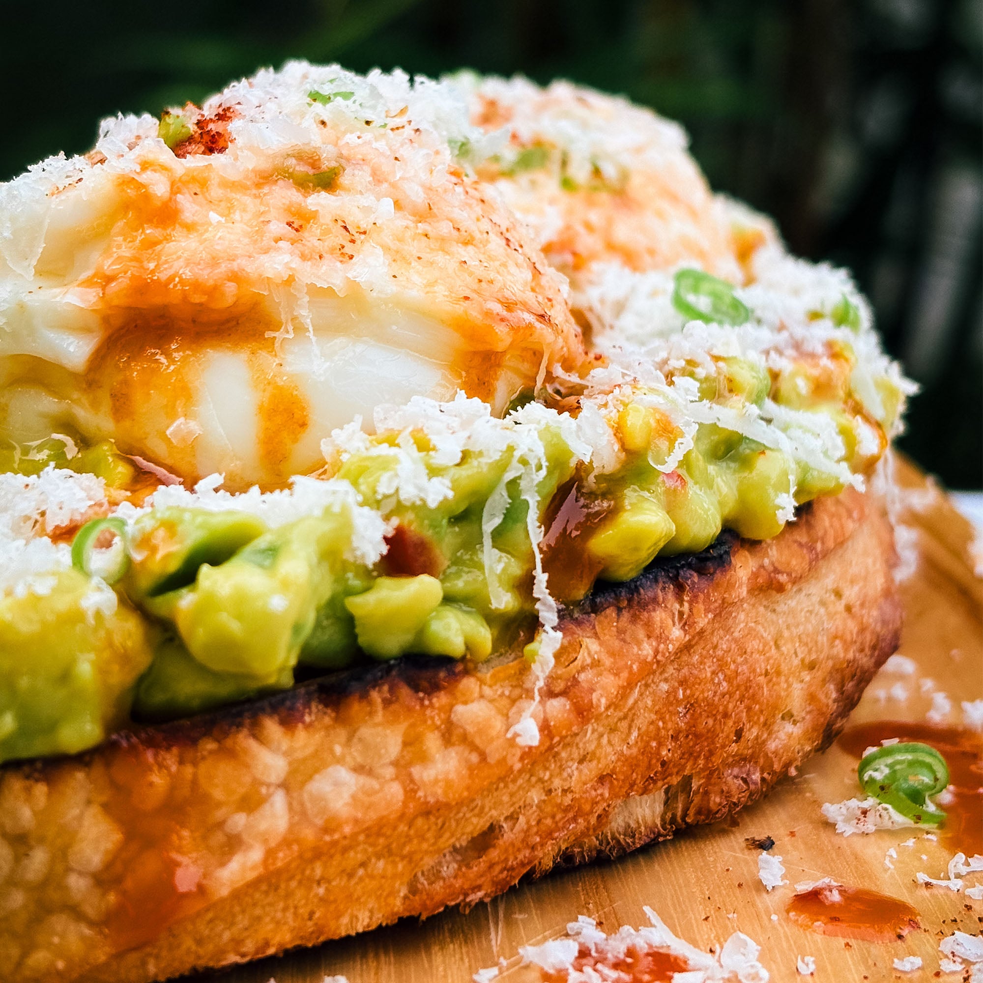 Avocado Tartine