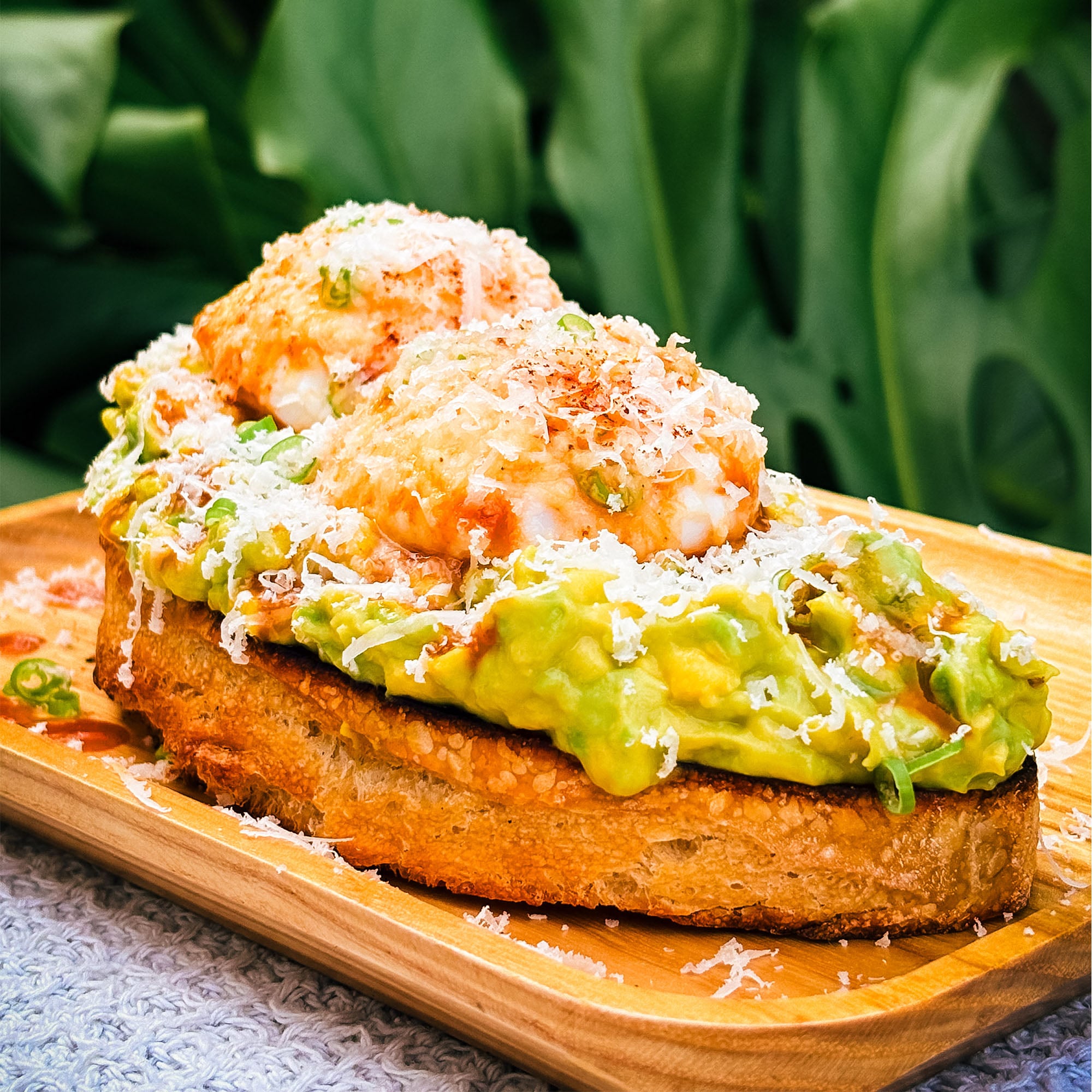 Avocado Tartine