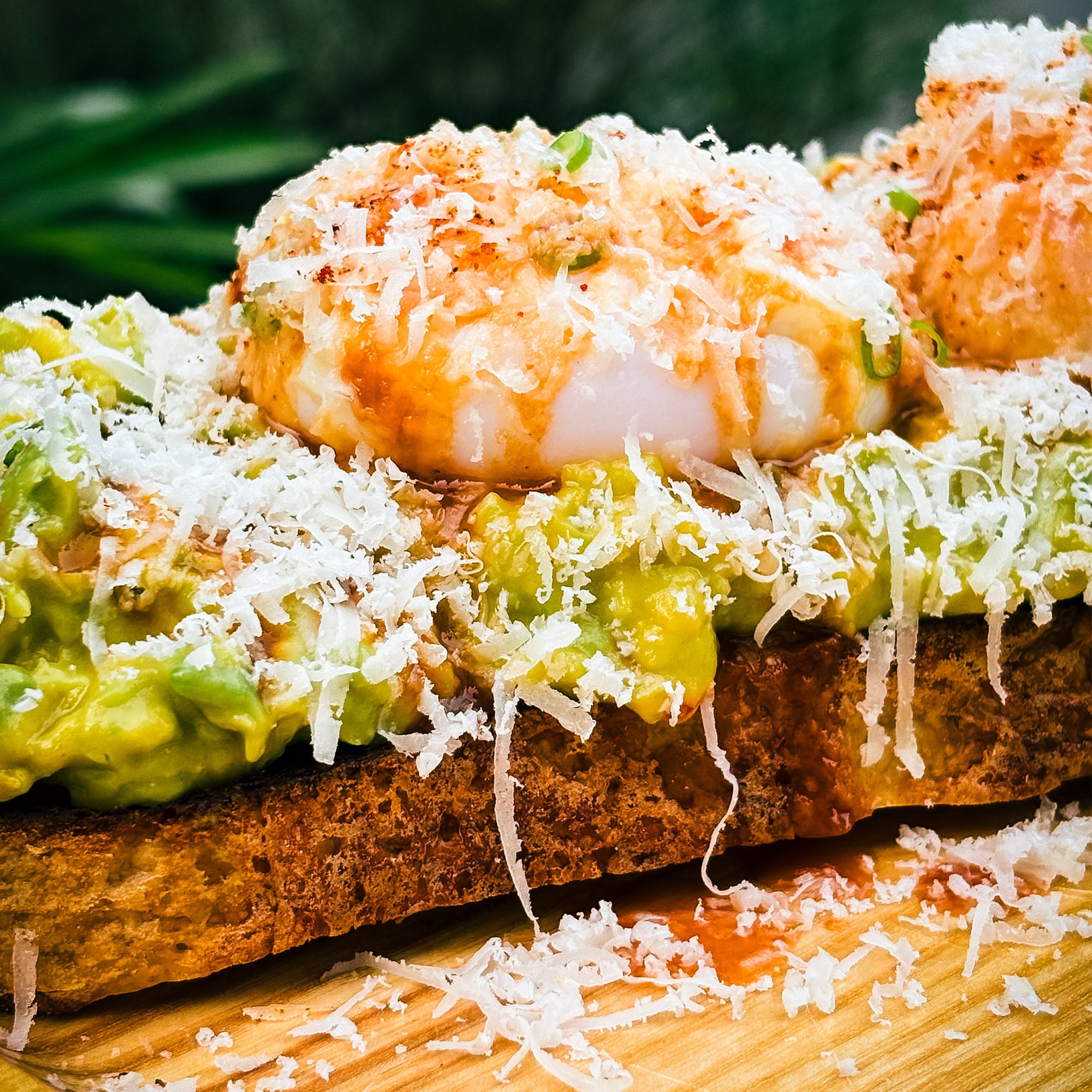 Avocado Tartine
